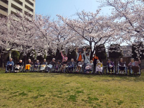 桜の花の満開の下