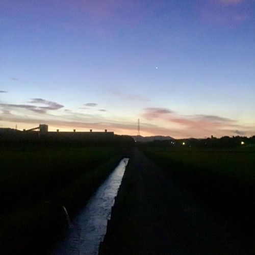 「紫雲たなびく」夜明けの大山川